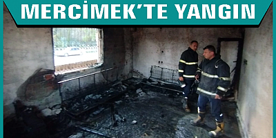 Ceyhan'da müstakil evde çıkan yangın söndürüldü